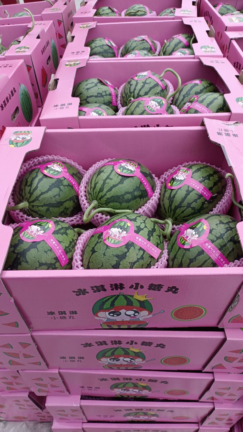 {推荐商家}全美2k小糖丸万亩基地，欢迎来电质量三包