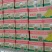 精品香蕉大量供应一手货源品质保证诚信经营欢迎来电