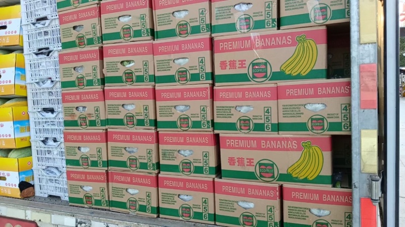 精品香蕉大量供应一手货源品质保证诚信经营欢迎来电