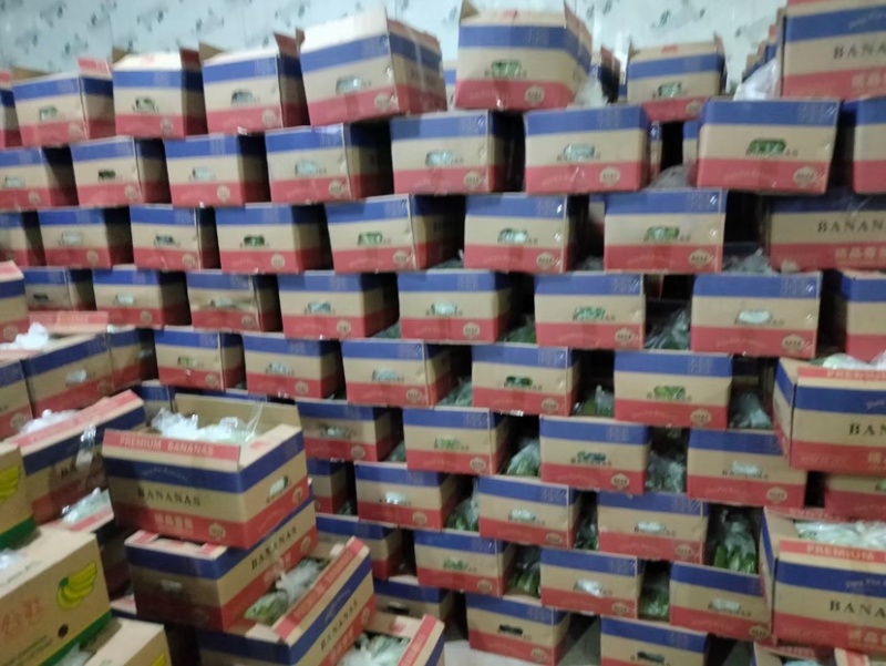 精品香蕉大量供应一手货源品质保证诚信经营欢迎来电
