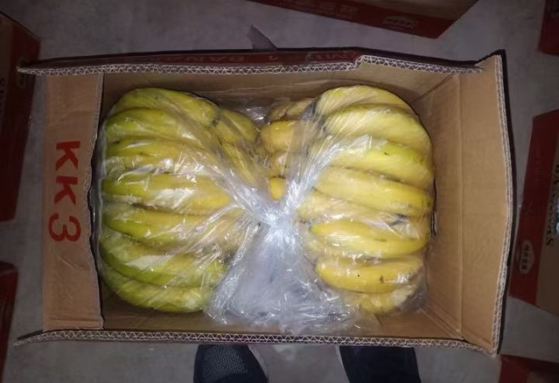 精品香蕉大量供应一手货源品质保证诚信经营欢迎来电