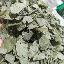 淫羊藿甘肃淫羊藿手摘叶精品各种规格批发零售