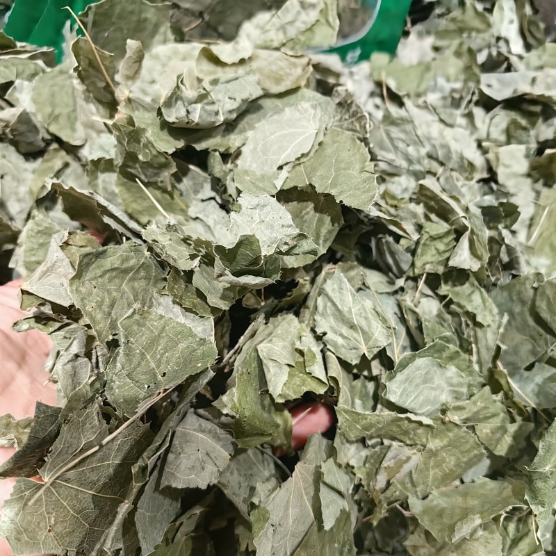 淫羊藿甘肃淫羊藿手摘叶精品各种规格批发零售