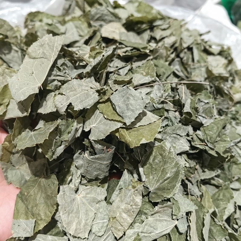 淫羊藿甘肃淫羊藿手摘叶精品各种规格批发零售