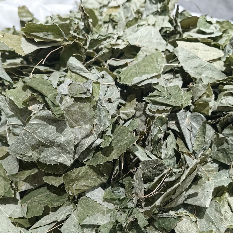 淫羊藿甘肃淫羊藿手摘叶精品各种规格批发零售