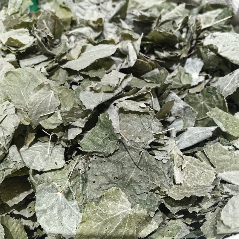 淫羊藿甘肃淫羊藿手摘叶精品各种规格批发零售
