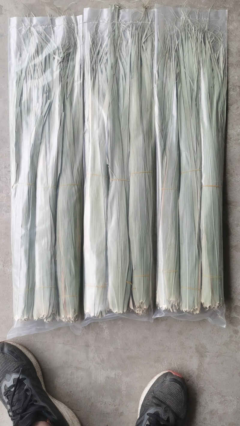 粽叶精品安徽粽叶产地直发