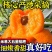 产地直发品质保证四川米易枇杷