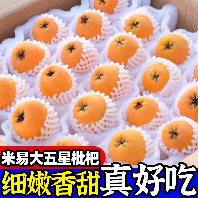 产地直发品质保证四川米易枇杷