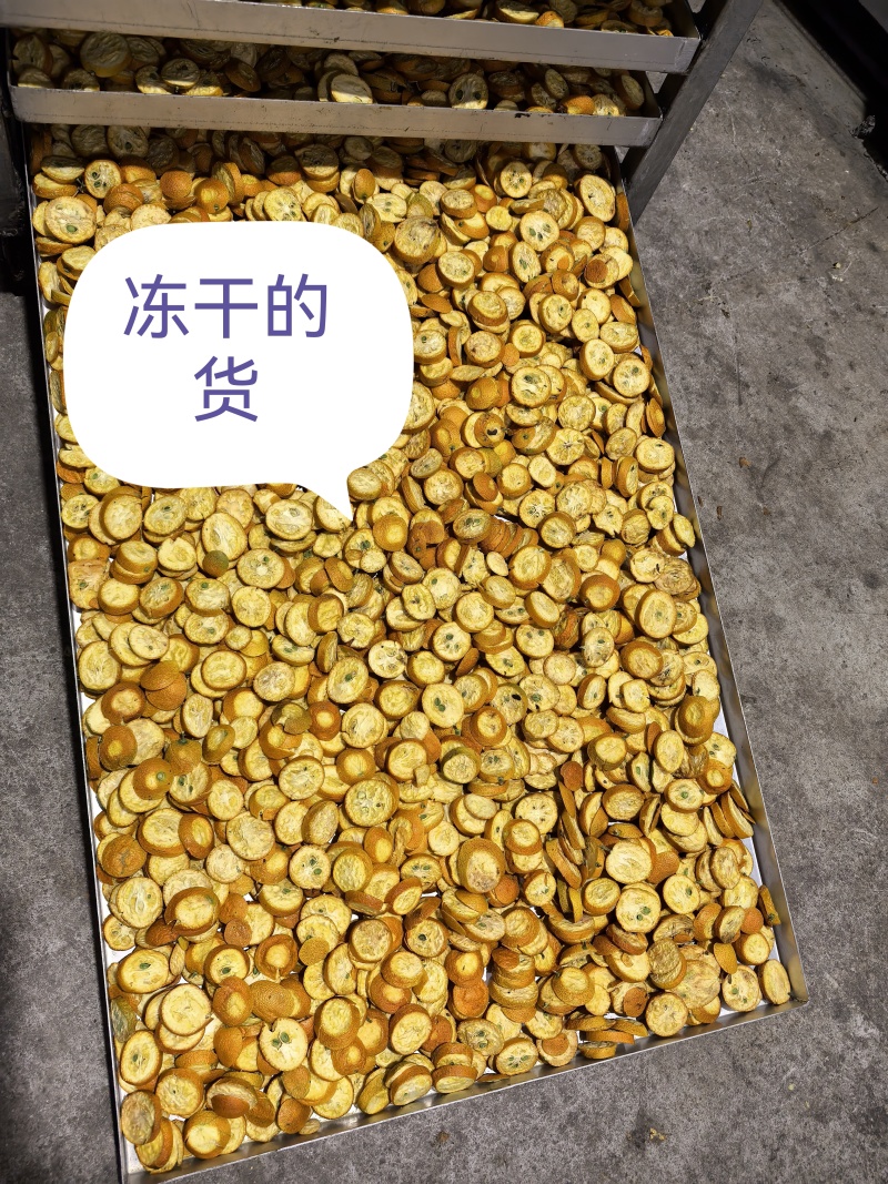冻干金桔片