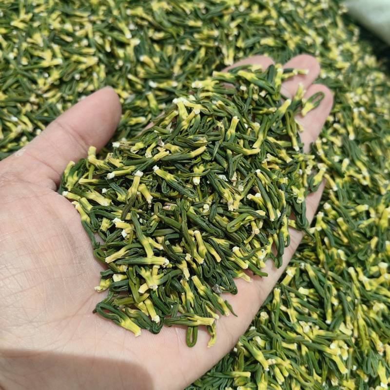 莲子芯优质精选各种规格