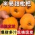四川攀枝花米易枇杷大量现货价格优惠