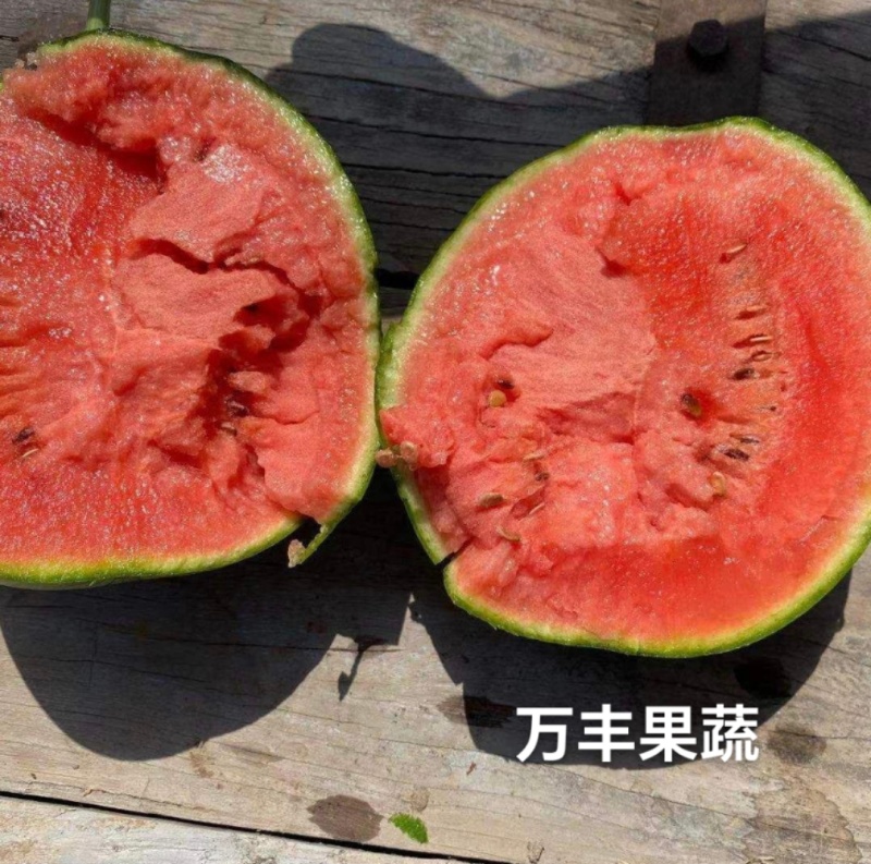 山东小糖丸珍珠红2k西瓜手掰瓜产地直供源头直发