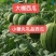 山东小糖丸珍珠红2k西瓜手掰瓜产地直供源头直发