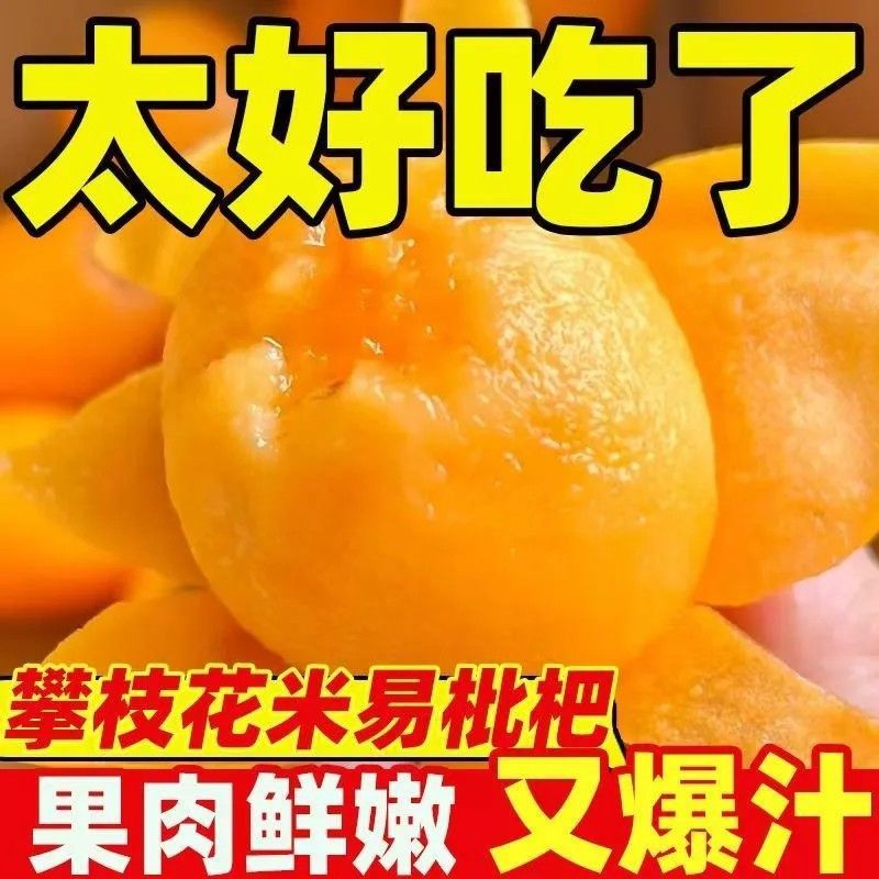 米易枇杷新货上市一件代发货源充足
