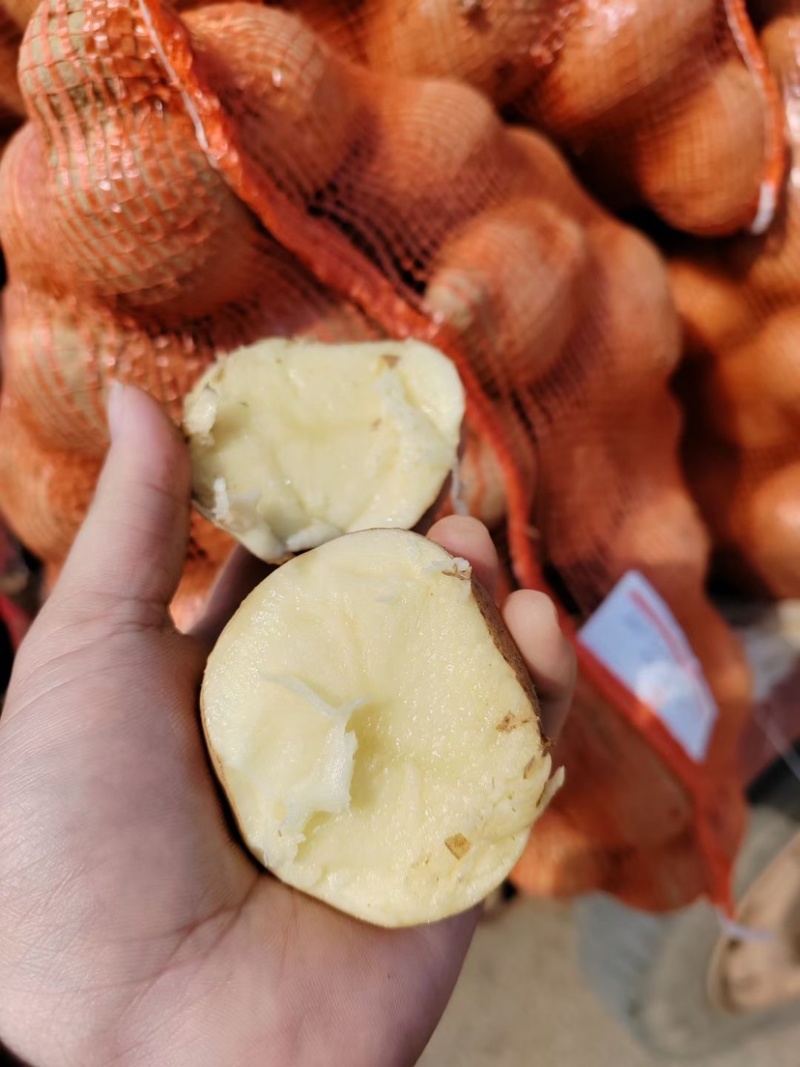 新鲜土豆大量上市产地批发一手货源诚信经营价格优惠