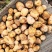 新鲜土豆大量上市产地批发一手货源诚信经营价格优惠
