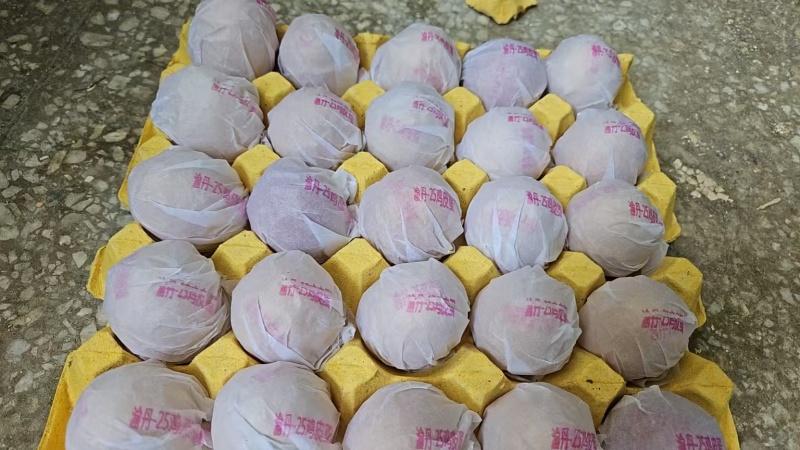 重庆西南特色松花鸡皮蛋工厂直发量大从优一条龙服务