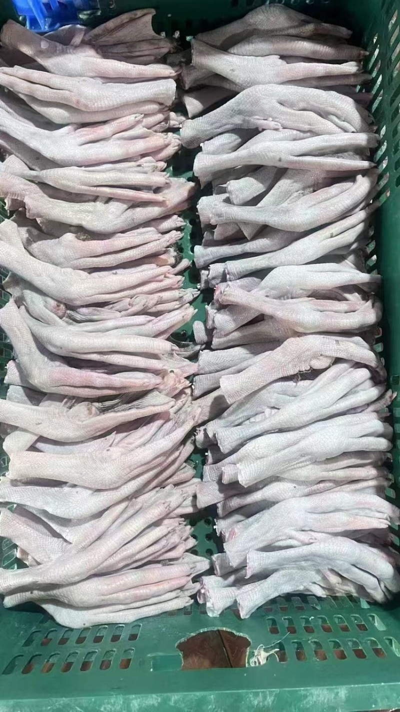 【鹅掌】鹅副产品热卖产品一手货源厂家直销佛跳墙专用