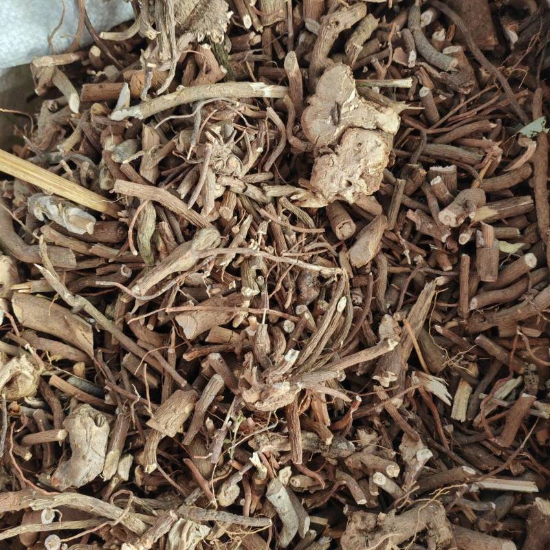中药材小罗伞