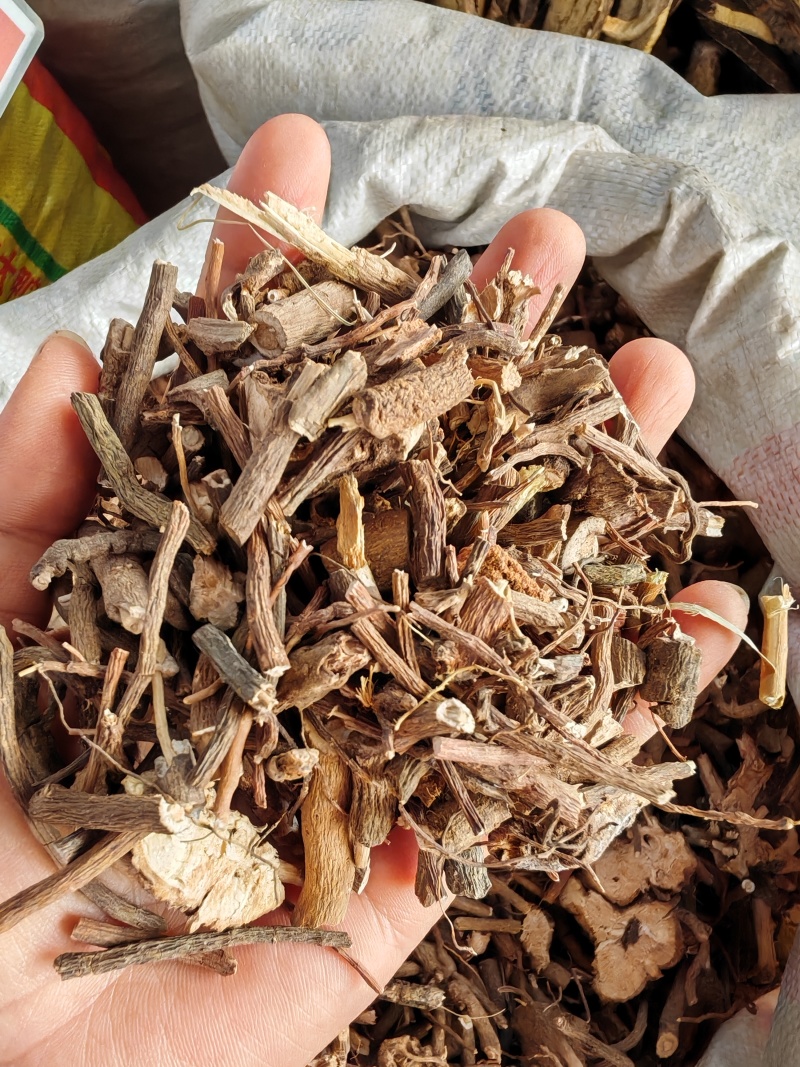 中药材小罗伞