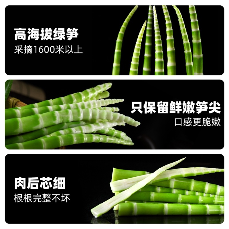 火锅食材清水笋绿笋尖整根高山青笋笋香浓郁