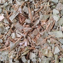 中药材金钱草