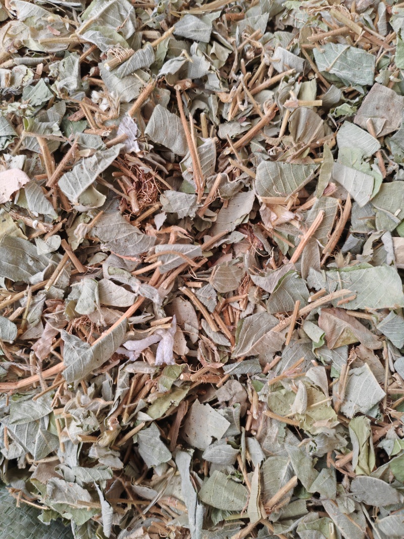 中药材金钱草