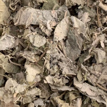 寻骨风【包邮】三斤起发货可批量可零售量大从优