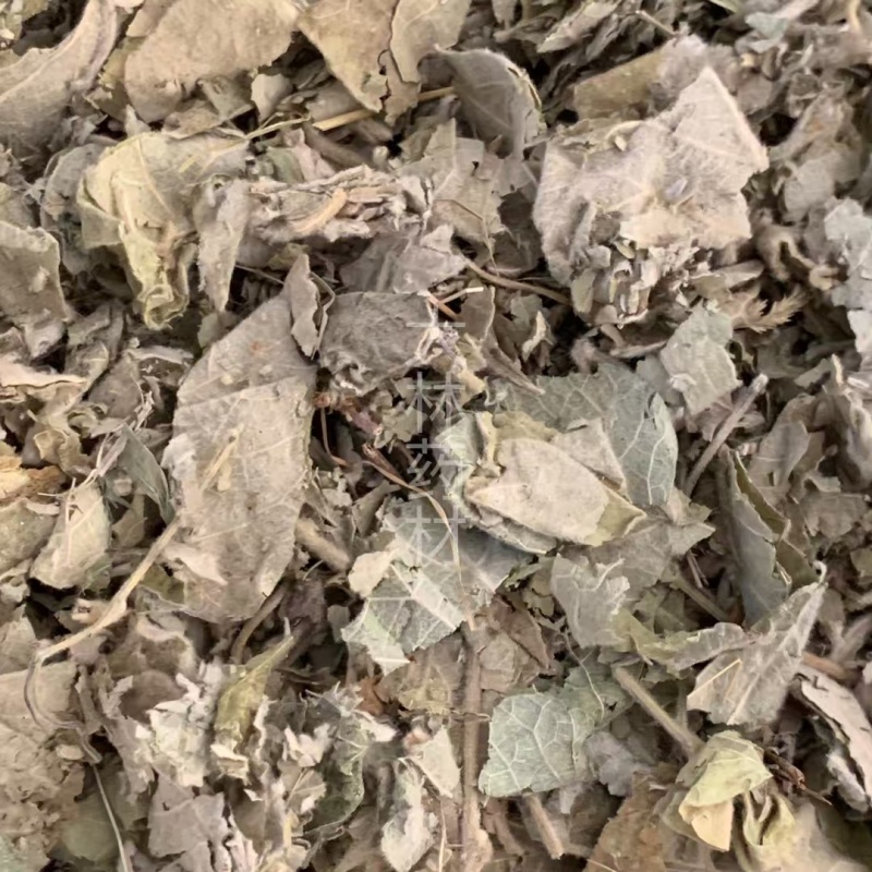 寻骨风【包邮】三斤起发货可批量可零售量大从优