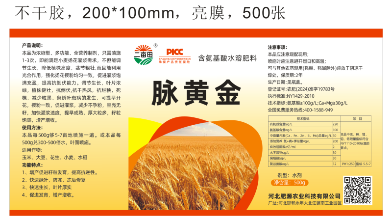 脉黄金小麦高产专用，抗倒伏，返青快，抗寒抗旱，籽粒爆满