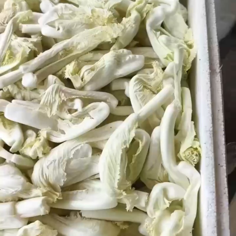 尖尾侧芽