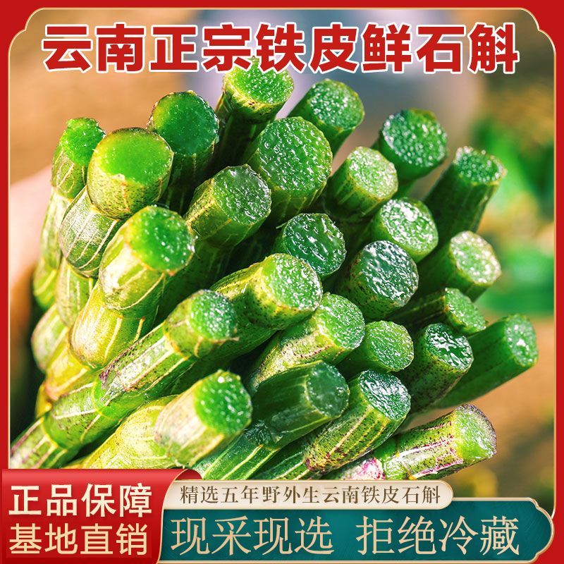 正宗云南铁皮石斛鲜条新鲜石斛超胖条石斛中药材枫斗鲜条批发