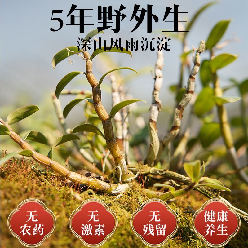 正宗云南铁皮石斛鲜条新鲜石斛超胖条石斛中药材枫斗鲜条批发