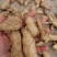 伏牛山鸡头黄精，做九蒸九晒黄精原料，货品为一蒸后晒干。