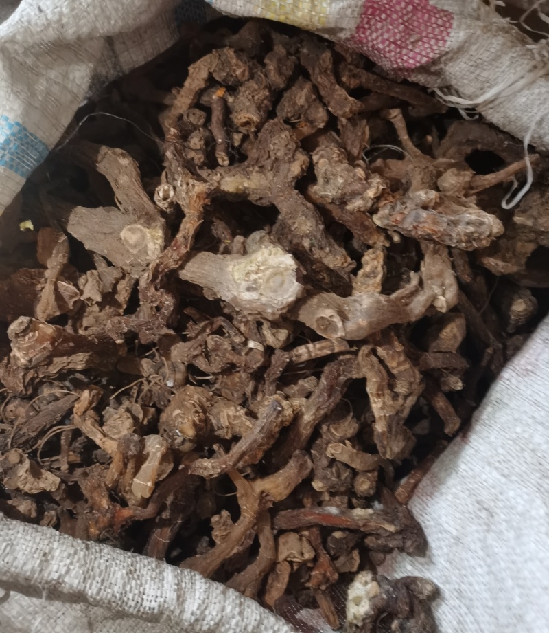 伏牛山鸡头黄精，做九蒸九晒黄精原料，货品为一蒸后晒干。