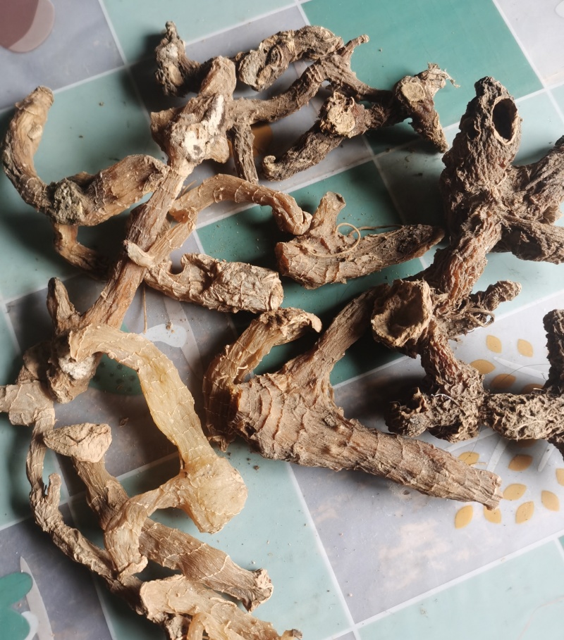 伏牛山鸡头黄精，做九蒸九晒黄精原料，货品为一蒸后晒干。