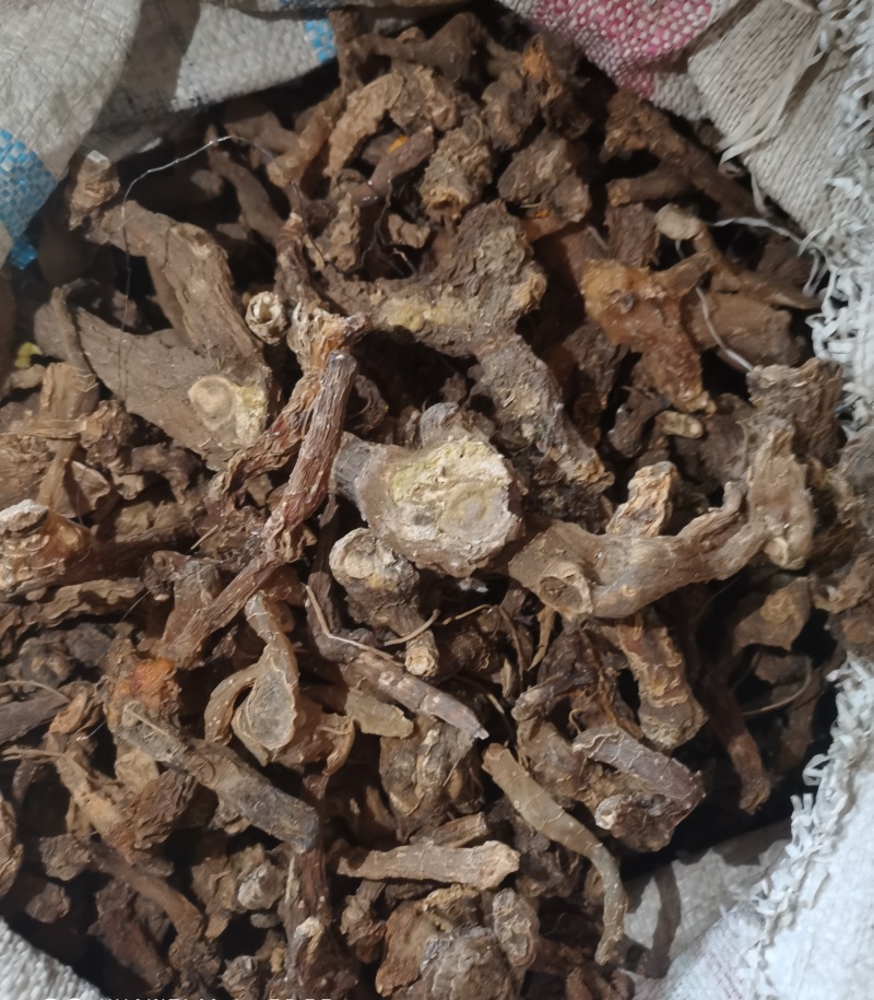 伏牛山鸡头黄精，做九蒸九晒黄精原料，货品为一蒸后晒干。