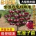 车厘子树苗樱桃树苖大樱桃苗南方北方种植果苗当年结果特大樱