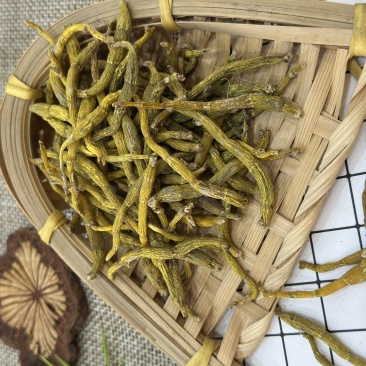 正宗霍山米斛粗干条(5年生)