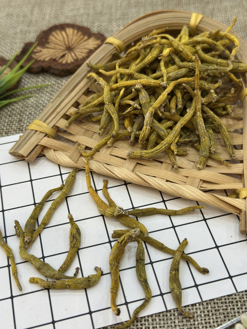 正宗霍山米斛粗干条(5年生)