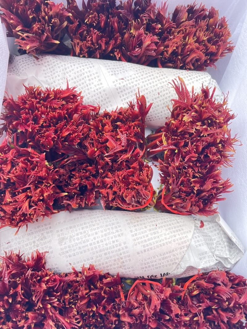 红香椿芽