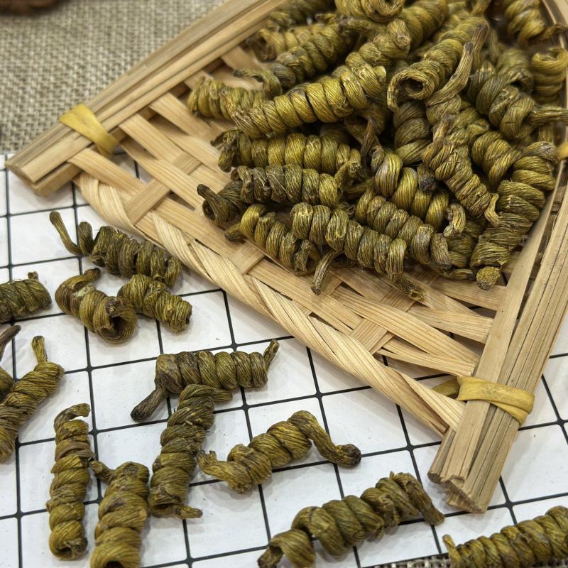 铁皮龙头凤尾(2-3公分)