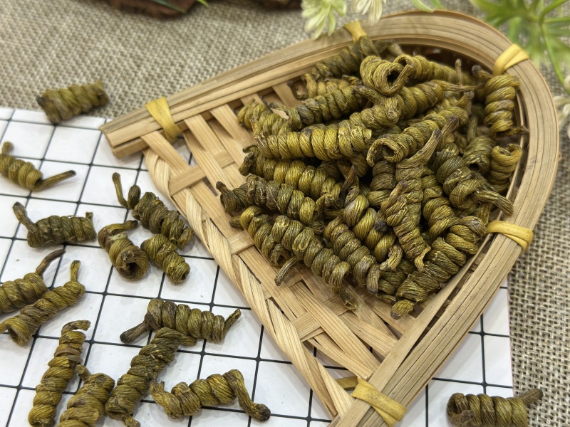 铁皮龙头凤尾(2-3公分)