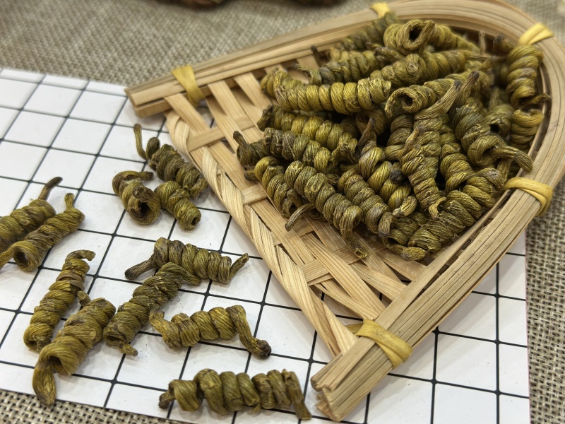 铁皮龙头凤尾(2-3公分)