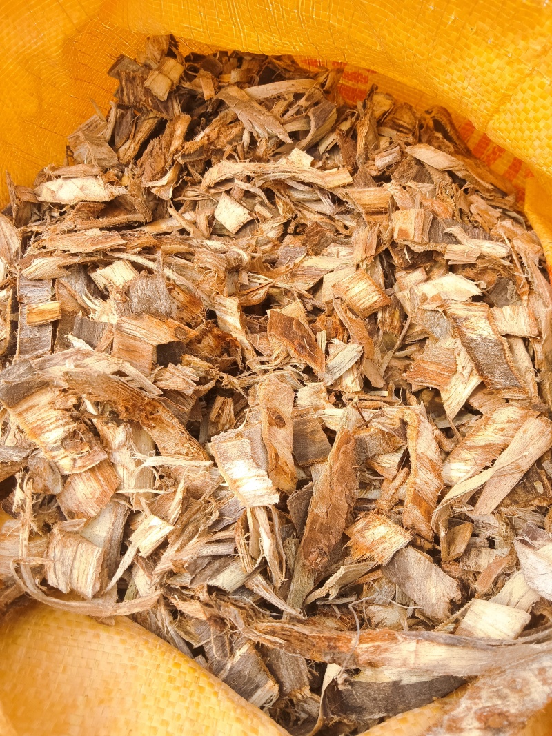 大量批发榆树皮，榆白皮，榆树外皮，大量现货