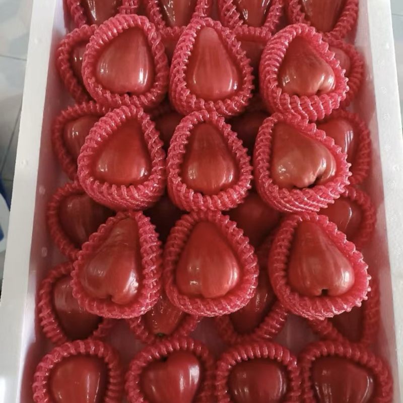 莲雾