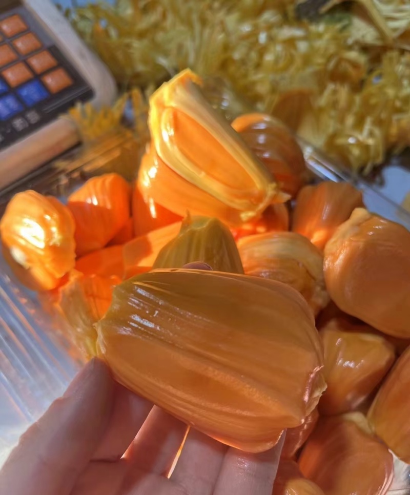 印尼红一件代发批发，菠萝蜜界的天花板一件代发