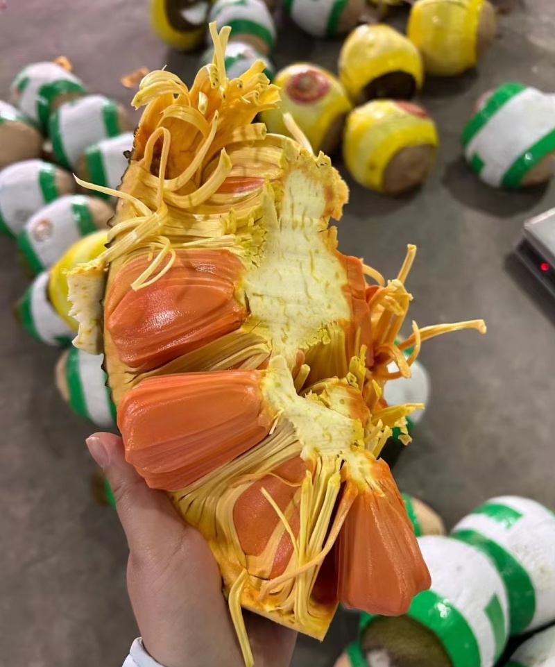 印尼红一件代发批发，菠萝蜜界的天花板一件代发