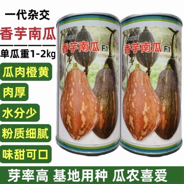 一代杂交香芋南瓜种子味甜肉厚有香芋味南瓜种籽软糯香甜春秋